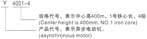 西安泰富西玛Y系列(H355-1000)高压YE2-90L-6三相异步电机型号说明